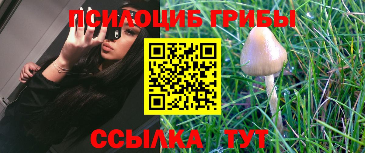 Псилоцибиновые грибы Magic Shrooms  Вход с VPN  Югорск 
